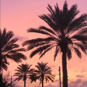 Meet your Posher, Pamela